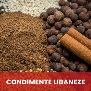 Condimente libaneze